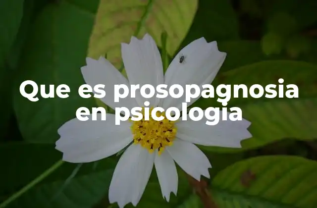 Que es Prosopagnosia en Psicologia