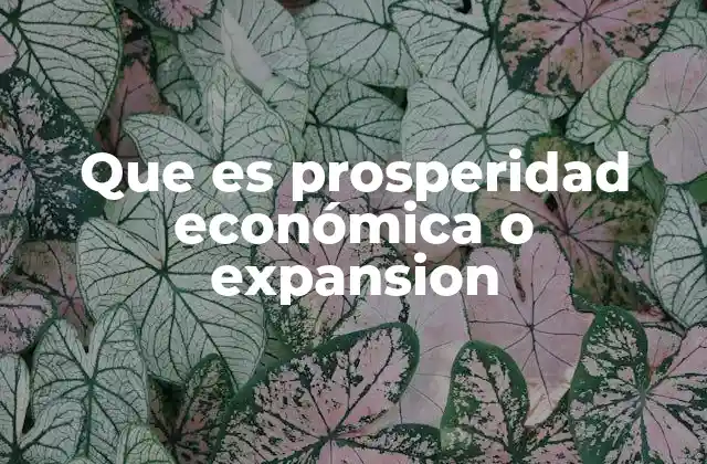 Que es Prosperidad Económica o Expansion