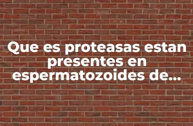 El papel de las proteasas en la biología del espermatozoide