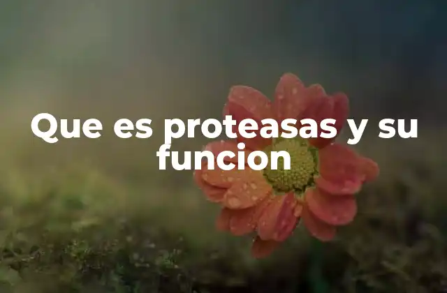 Que es Proteasas y Su Funcion