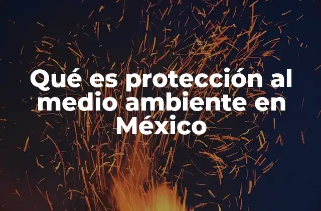 Qué es Protección Al Medio Ambiente en México