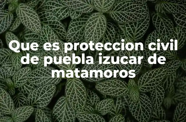 Que es Proteccion Civil de Puebla Izucar de Matamoros