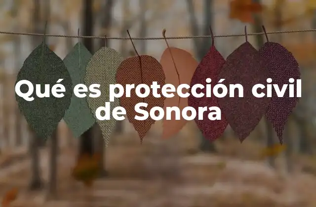 Qué es Protección Civil de Sonora 2 La importancia de la protección civil en una región con múltiples riesgos