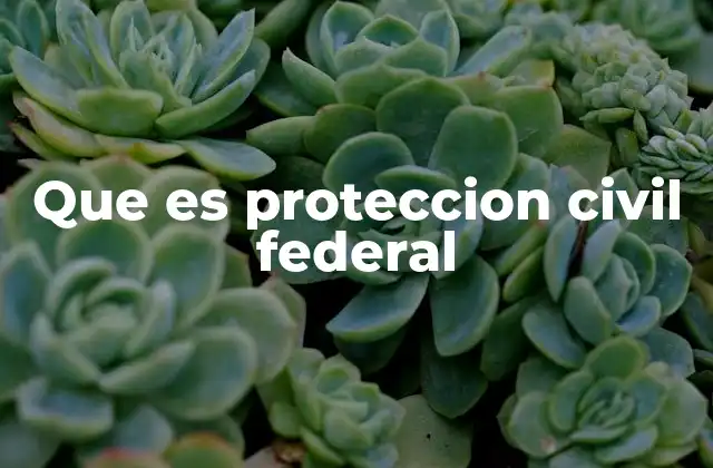 Que es Proteccion Civil Federal