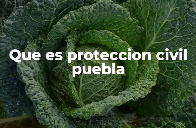 El papel de la protección civil en la seguridad del estado