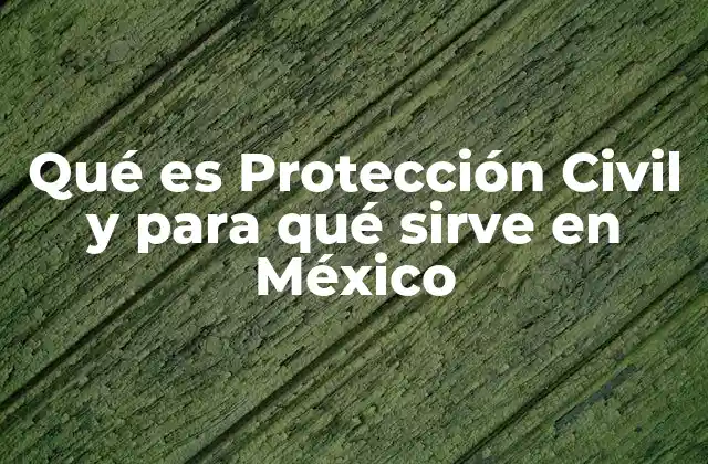 El rol de la Protección Civil en la seguridad nacional