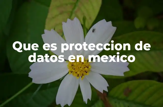 La importancia de la protección de datos en el entorno digital actual