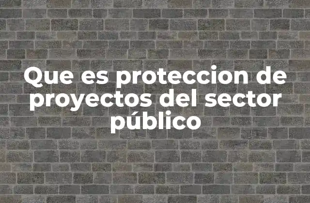 Que es Proteccion de Proyectos Del Sector Público