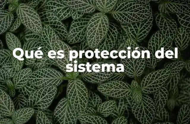 Qué es Protección Del Sistema