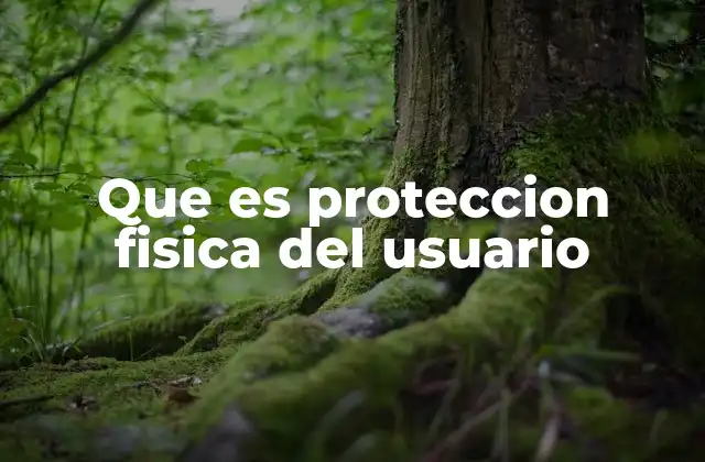 Que es Proteccion Fisica Del Usuario