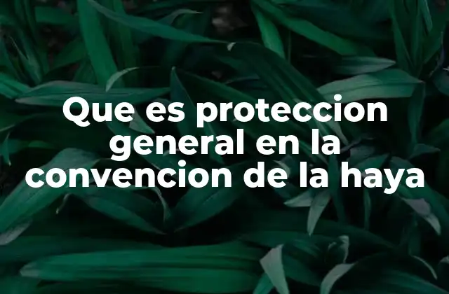 Que es Proteccion General en la Convencion de la Haya