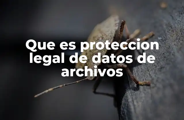 Que es Proteccion Legal de Datos de Archivos