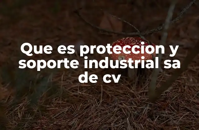 Que es Proteccion y Soporte Industrial Sa de Cv 2 El rol de las empresas de protección y soporte industrial en la economía nacional