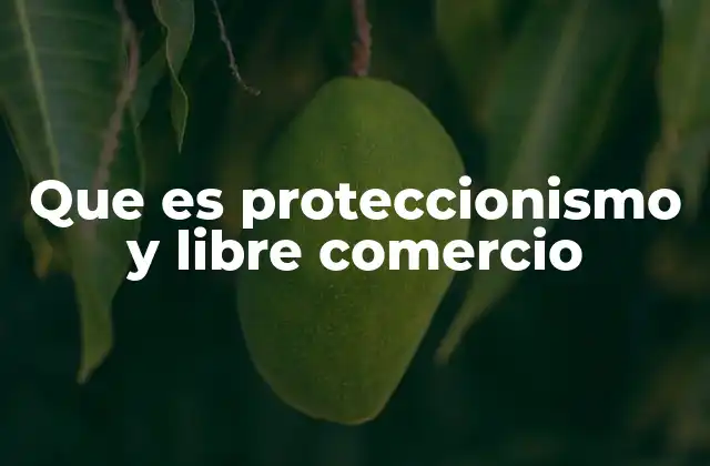 Que es Proteccionismo y Libre Comercio