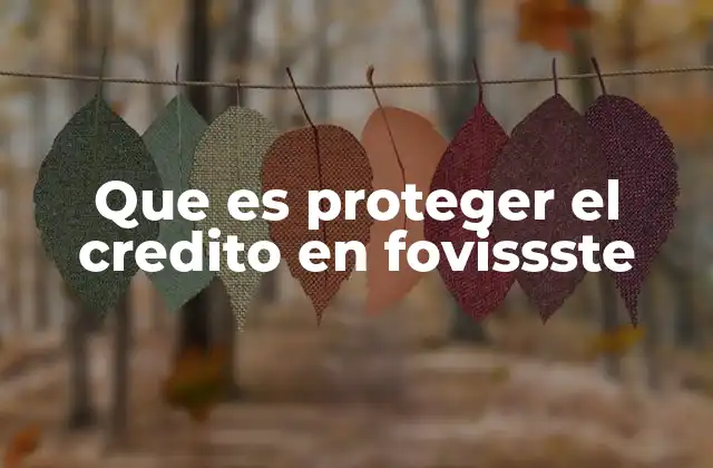 La importancia de la protección del crédito en el proceso de acceso a la vivienda