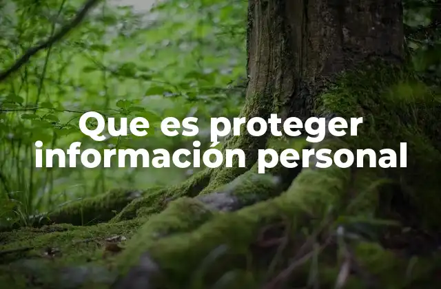 Que es Proteger Información Personal
