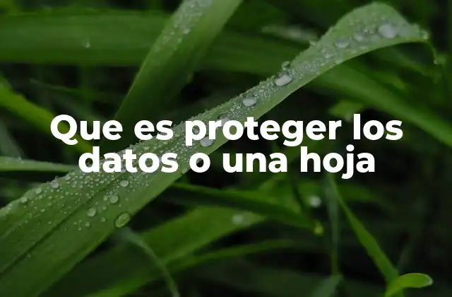 Que es Proteger los Datos o una Hoja