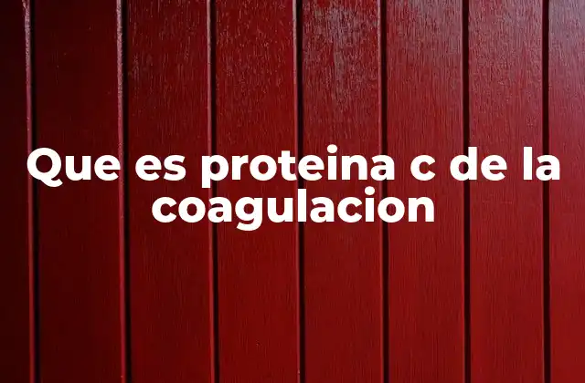 Que es Proteina C de la Coagulacion 2 El papel de la proteína C en el equilibrio hemostático