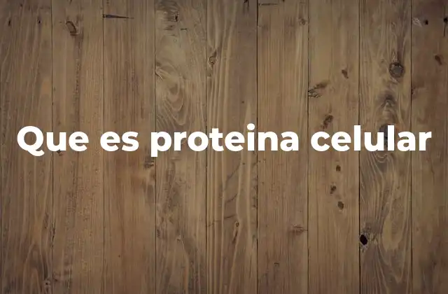 Que es Proteina Celular 22 La base molecular de las proteínas celulares