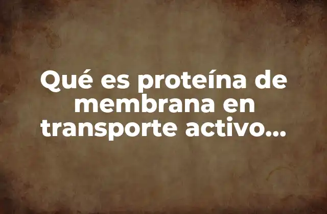Qué es Proteína de Membrana en Transporte Activo Primario