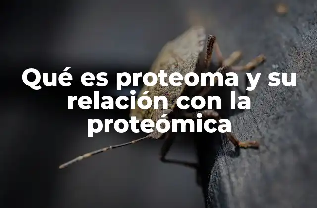 Qué es Proteoma y Su Relación con la Proteómica