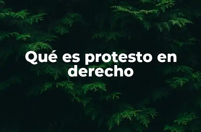 Qué es Protesto en Derecho 2 El protesto como herramienta de defensa legal