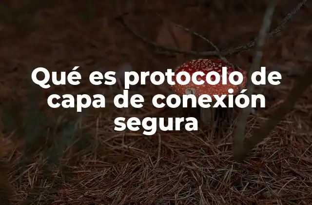 Qué es Protocolo de Capa de Conexión Segura