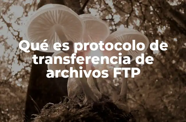 El funcionamiento de los protocolos de transferencia de datos