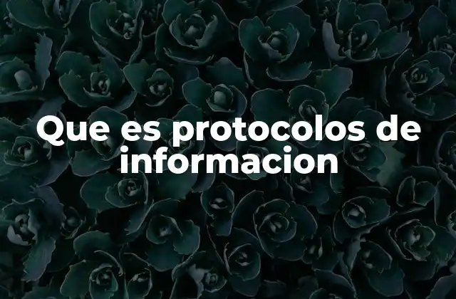 Que es Protocolos de Informacion