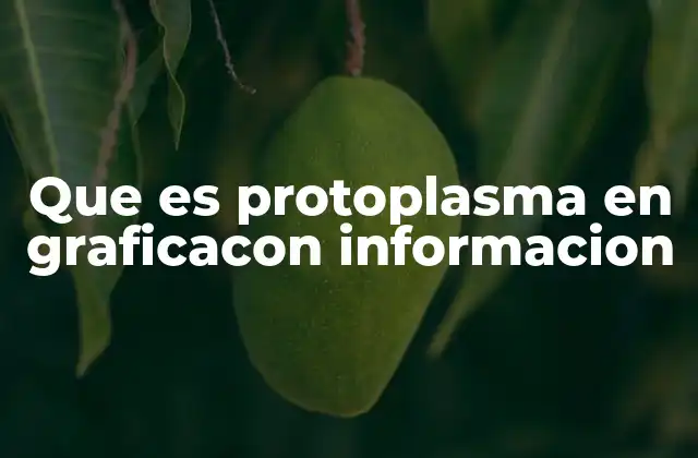 Que es Protoplasma en Graficacon Informacion