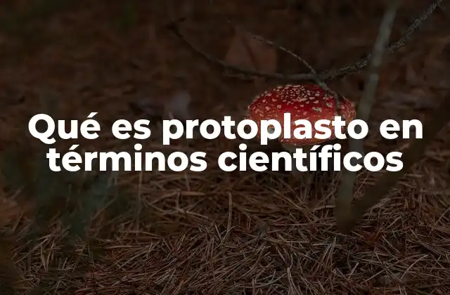 Qué es Protoplasto en Términos Científicos