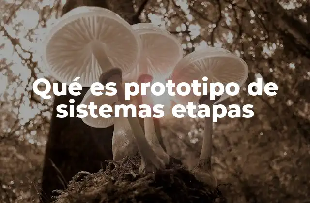 Qué es Prototipo de Sistemas Etapas