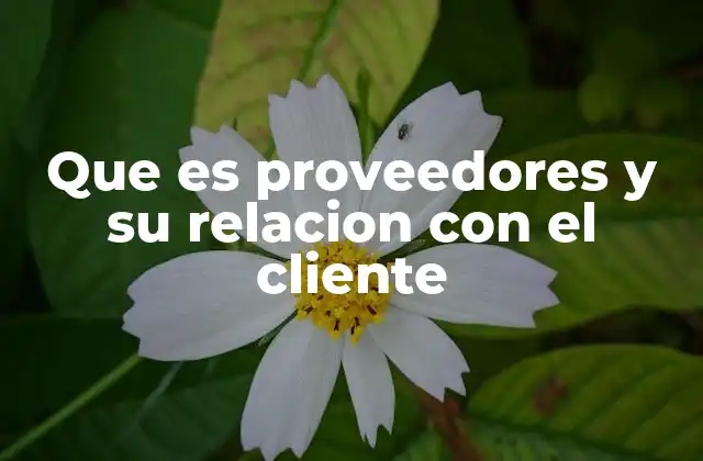 Que es Proveedores y Su Relacion con el Cliente 2 La importancia de una relación efectiva entre proveedores y clientes