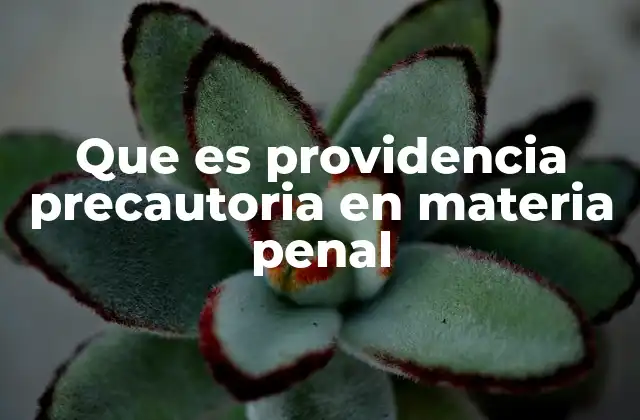 Que es Providencia Precautoria en Materia Penal