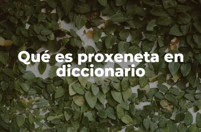 Qué es Proxeneta en Diccionario