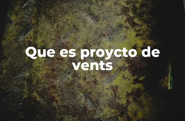 Que es Proycto de Vents