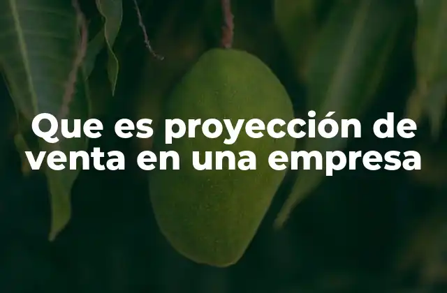 Que es Proyección de Venta en una Empresa