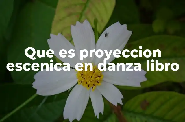 La integración de la proyección en la escenografía contemporánea