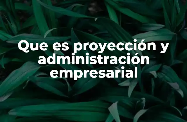 Que es Proyección y Administración Empresarial 2 La importancia de planear y organizar en el entorno empresarial
