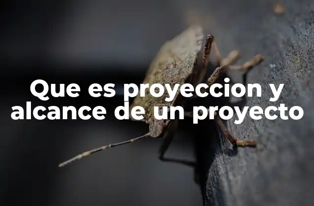 La importancia de establecer límites claros en un proyecto