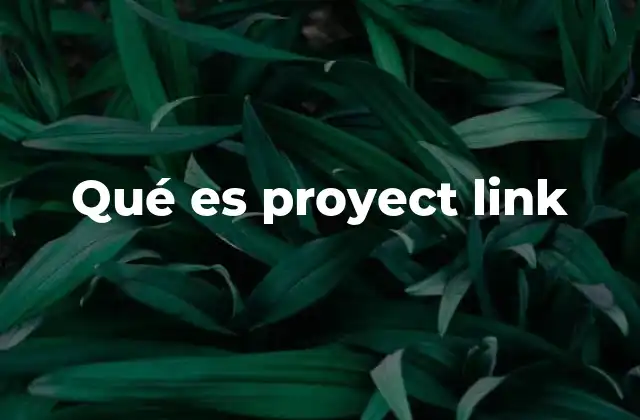 Qué es Proyect Link 2 La importancia de los enlaces personalizados en la era digital