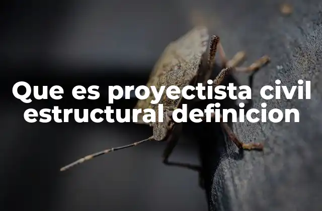 Que es Proyectista Civil Estructural Definicion