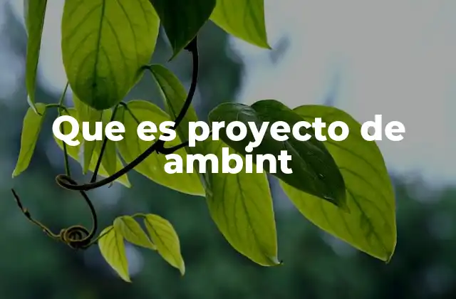 Que es Proyecto de Ambint