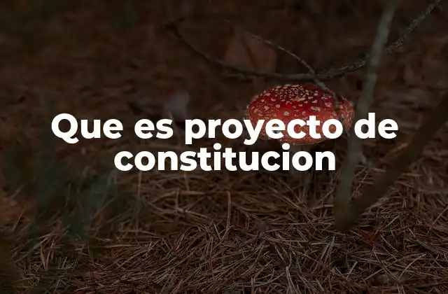 La importancia de los proyectos constitucionales en la gobernanza