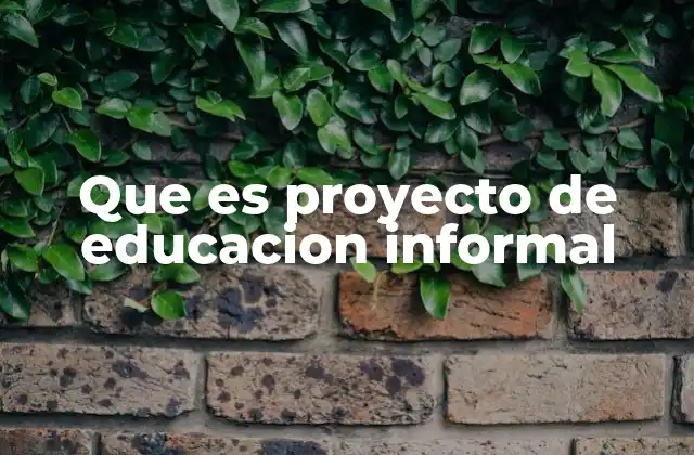 Que es Proyecto de Educacion Informal