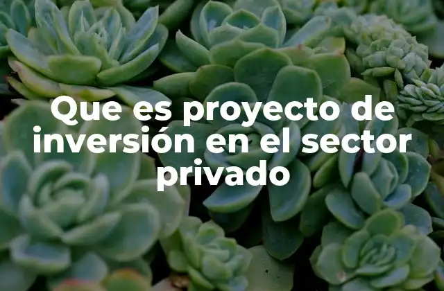 Que es Proyecto de Inversión en el Sector Privado