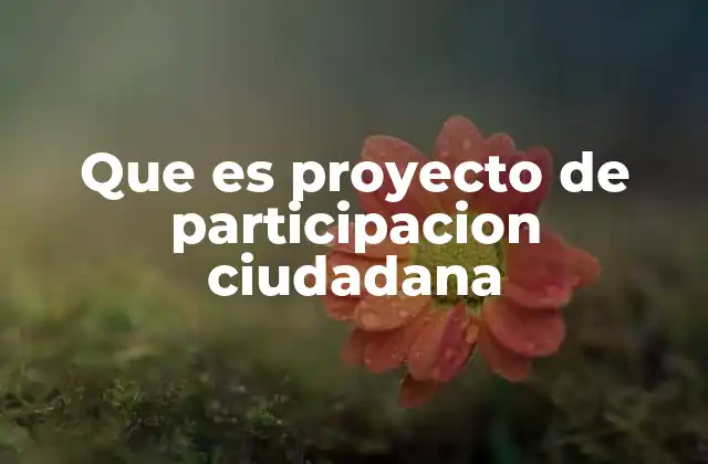 Que es Proyecto de Participacion Ciudadana