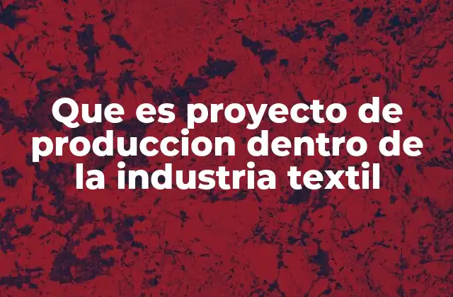 Que es Proyecto de Produccion Dentro de la Industria Textil