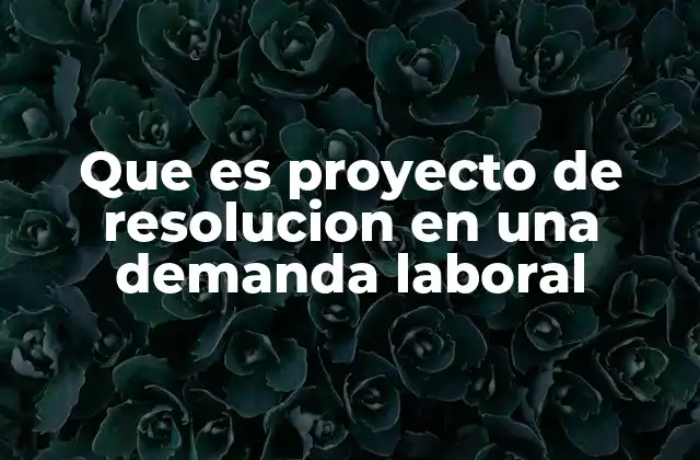 Que es Proyecto de Resolucion en una Demanda Laboral
