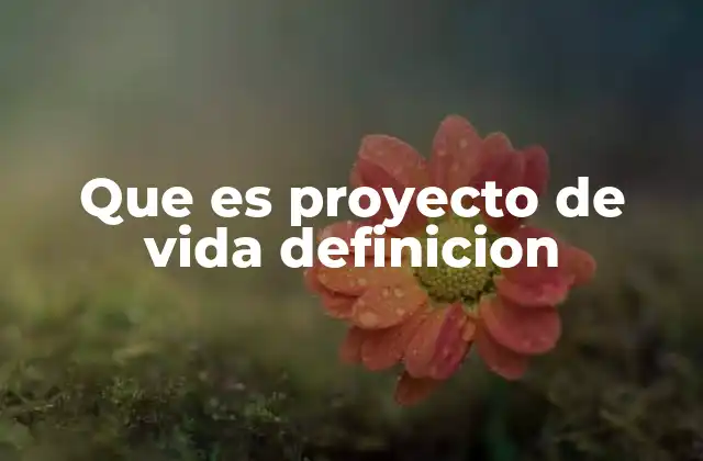 Que es Proyecto de Vida Definicion